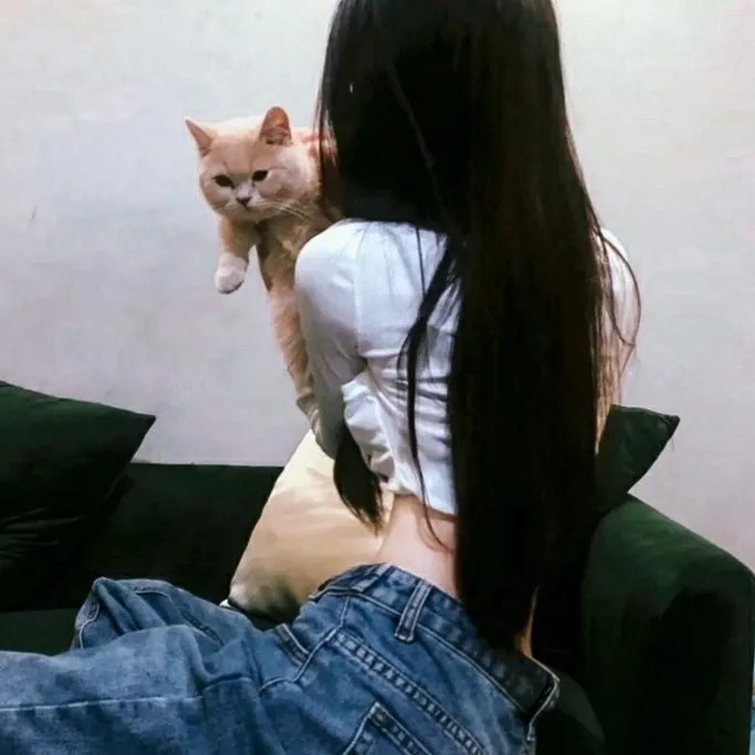 女孩的灵缇犬